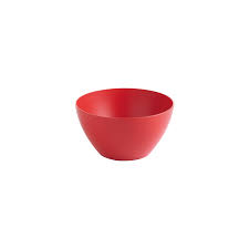 Lifestyle Small Bowl (Red)